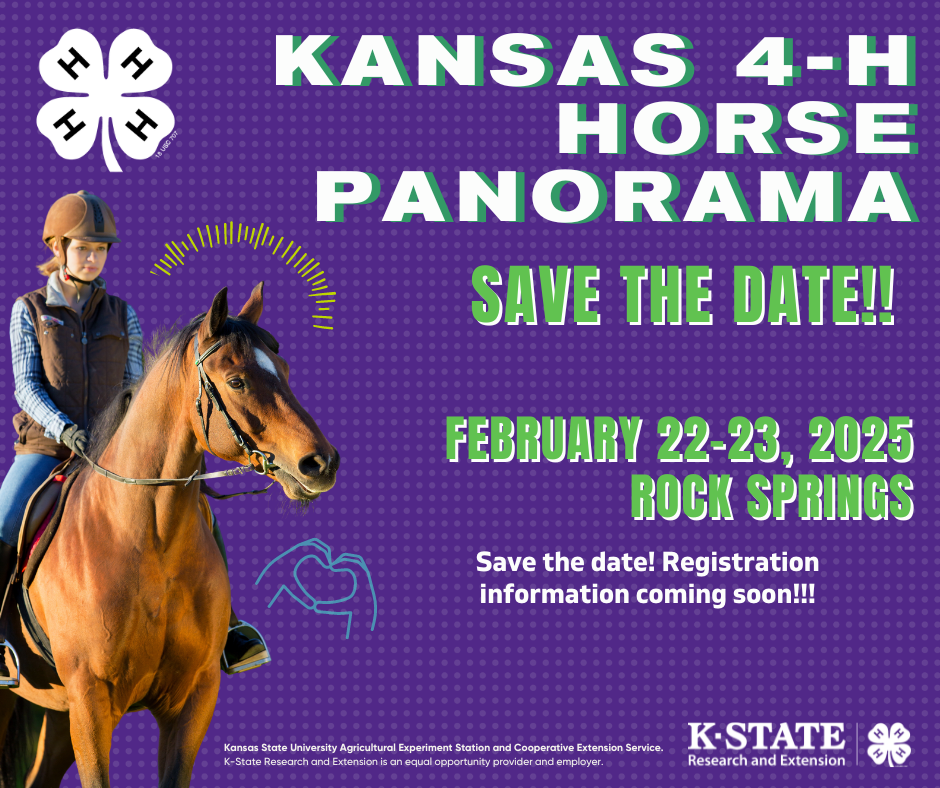 Horse Panorama Save the Date February 2025