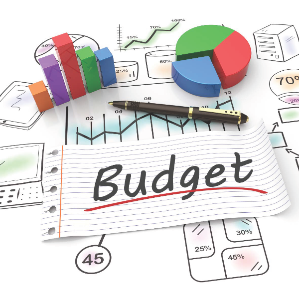 Budget Basics Photo button