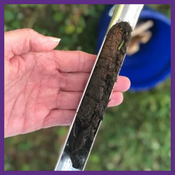 Soil Sampling Button Photo